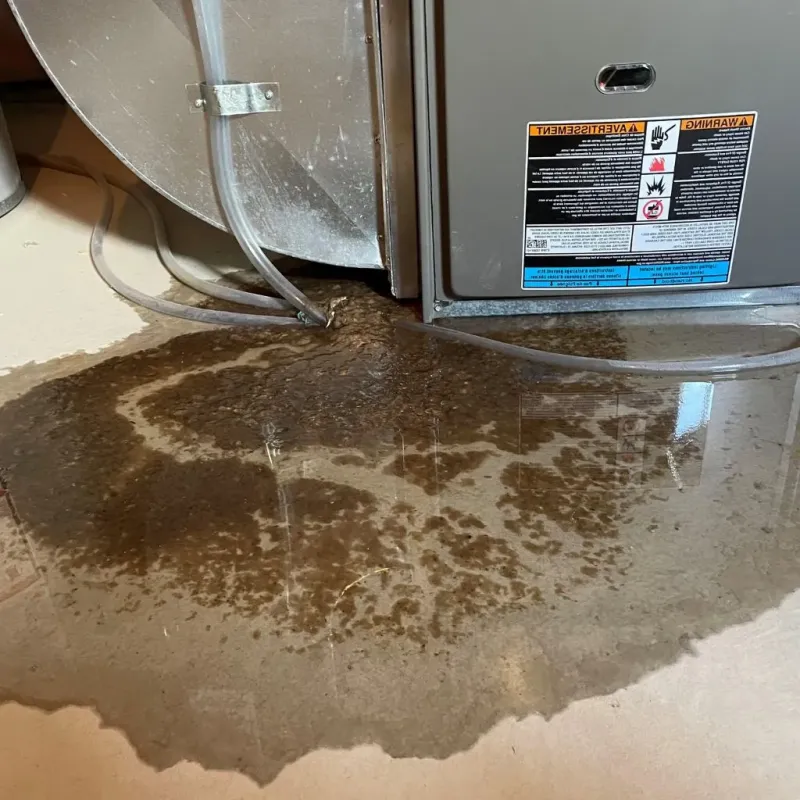 Pipe Burst and Leak Restoration in Waushara County, WI
