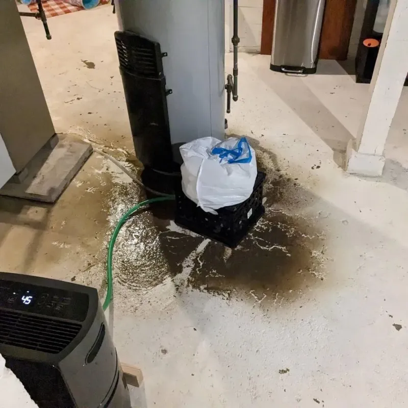 Sewage Backup Cleanup Service in Waushara County, WI